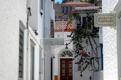 Hydra