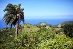 Karaiby-Martynika-14