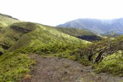 Karaiby-Martynika-18