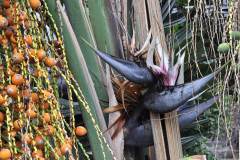 Wyspy-Kanaryjskie-10